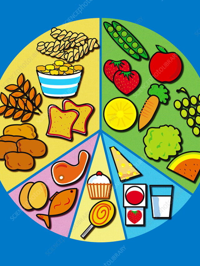 Things to eat for a balanced diet